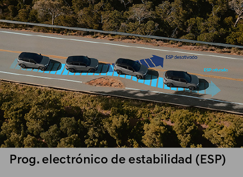New Creta Seguridad