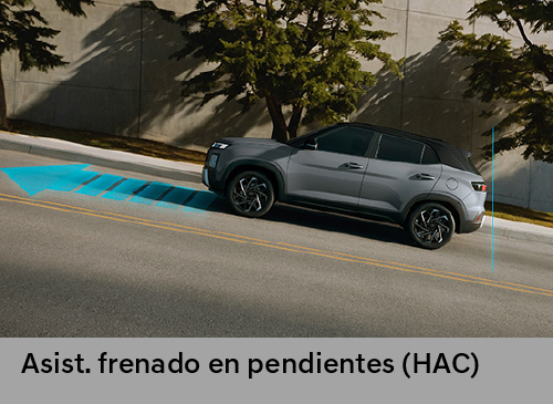 New Creta Seguridad